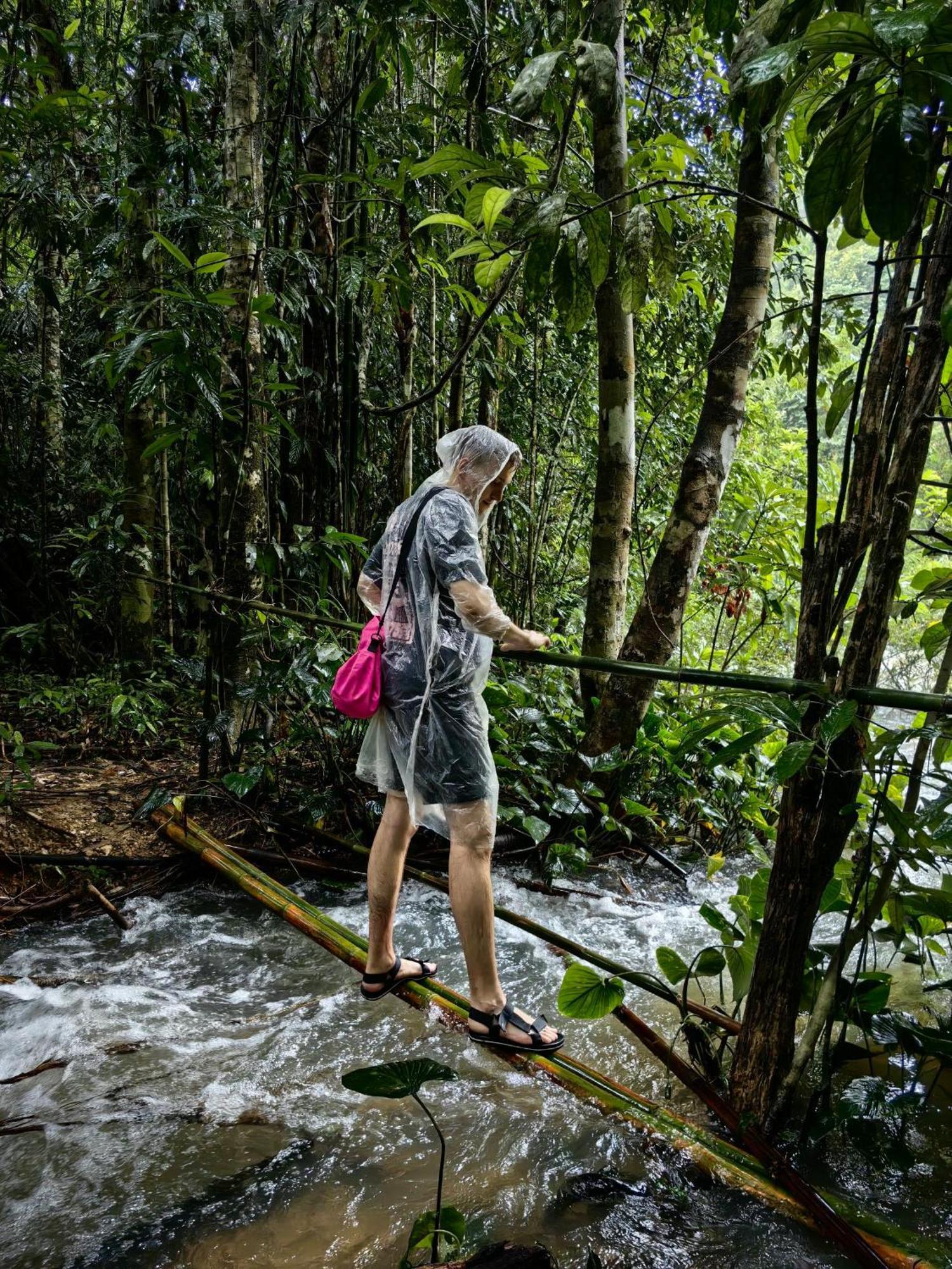 Khao Sok National Park Khaosok Happy House Bed & Breakfast エクステリア 写真