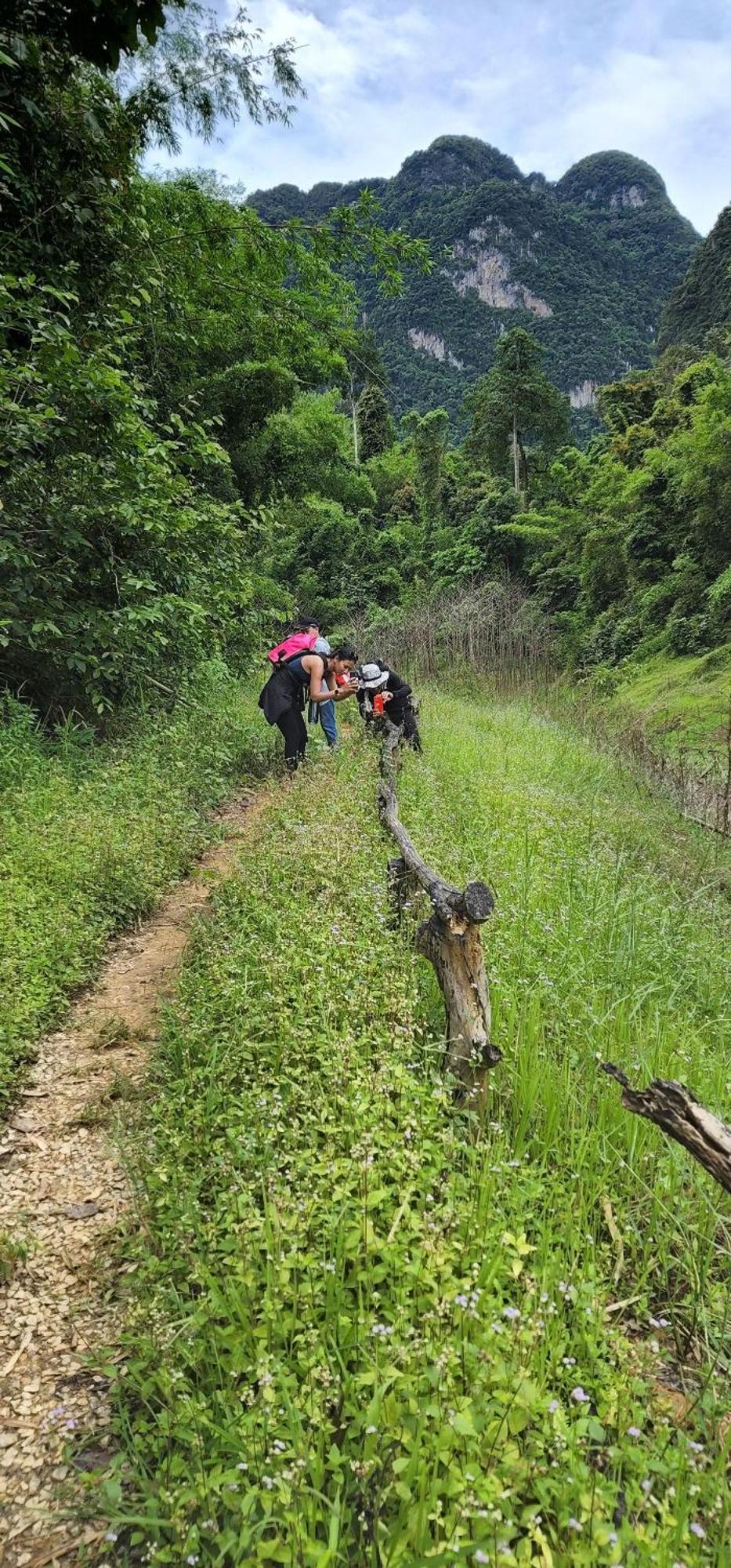 Khao Sok National Park Khaosok Happy House Bed & Breakfast エクステリア 写真